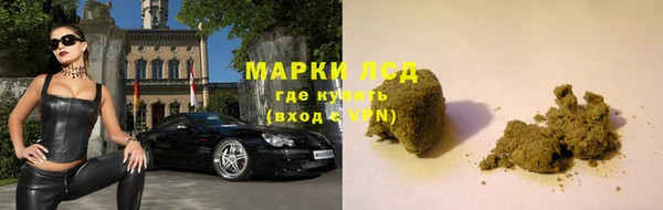 прущие грибы Армянск