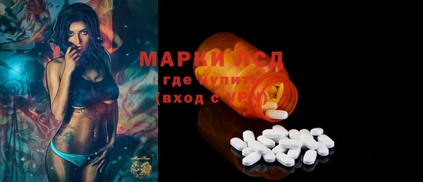 прущие грибы Армянск