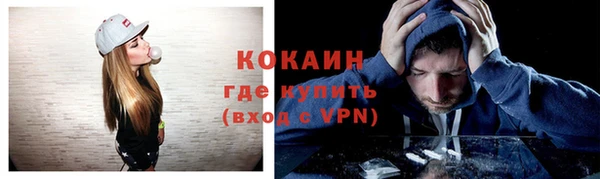 прущие грибы Армянск