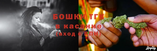 прущие грибы Армянск