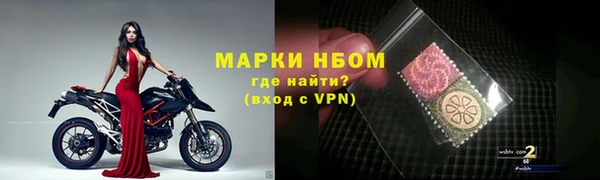 прущие грибы Армянск