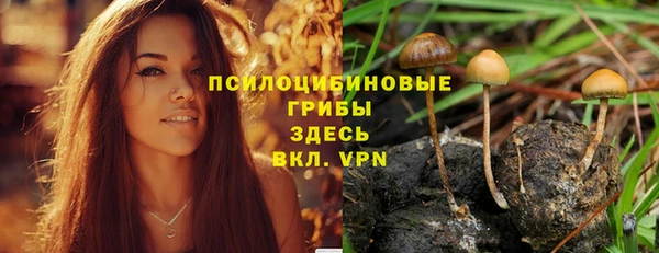 таблы Аркадак