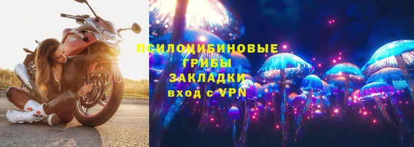 прущий лед Арсеньев