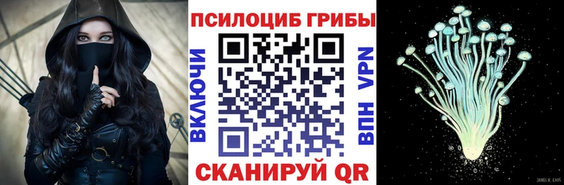 где найти   Сунжа  Псилоцибиновые грибы мухоморы 